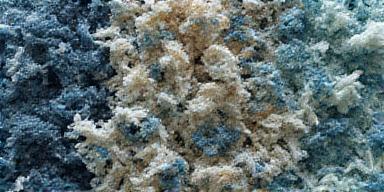 Fibre riciclate da PET post-consumo per tessile circolare